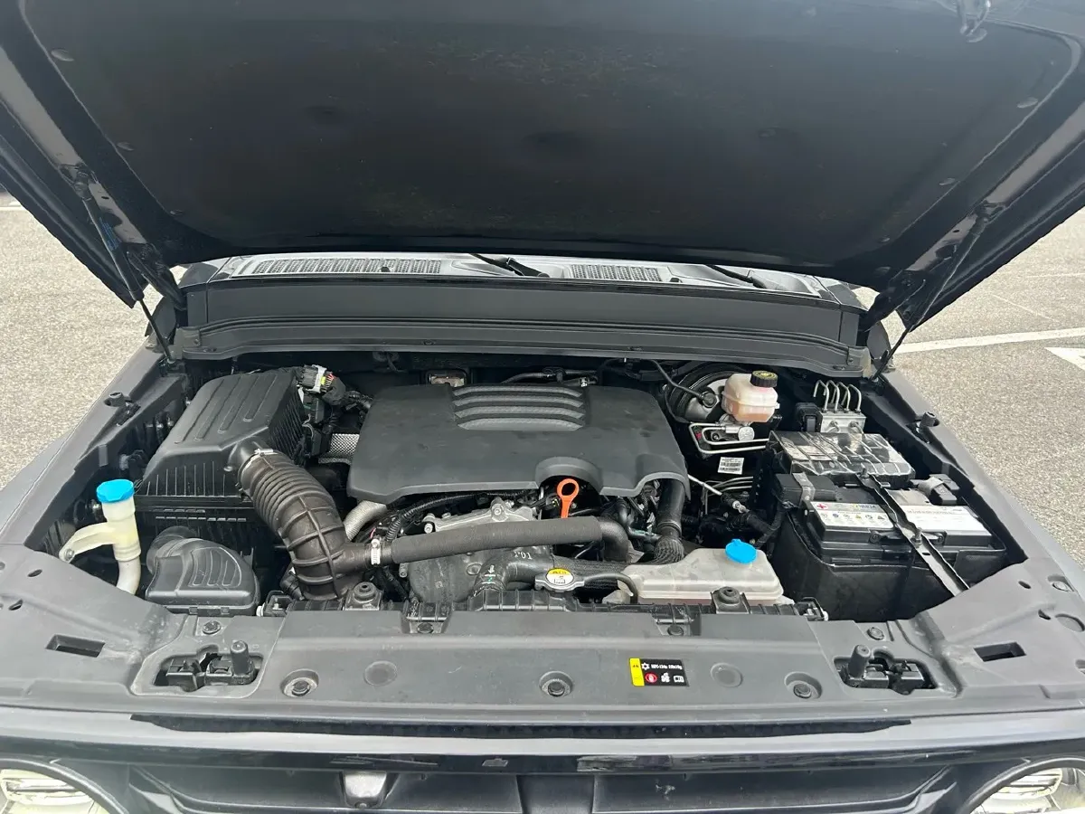 2021 Tank 300 2.0T 227HP L4 8AT,autocango,china used car exporter,china ev exporter,chinese used car exporter,chinese used ev exporter