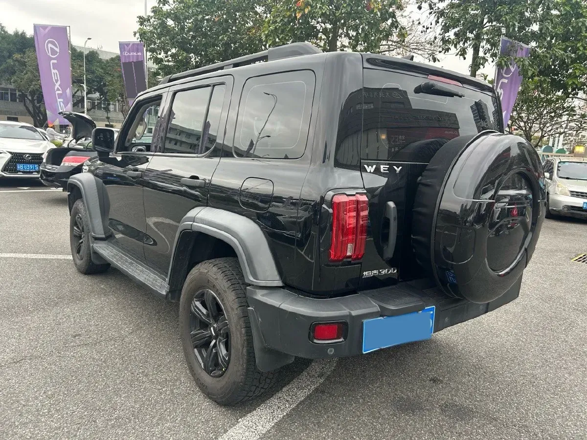 2021 Tank 300 2.0T 227HP L4 8AT,autocango,china used car exporter,china ev exporter,chinese used car exporter,chinese used ev exporter