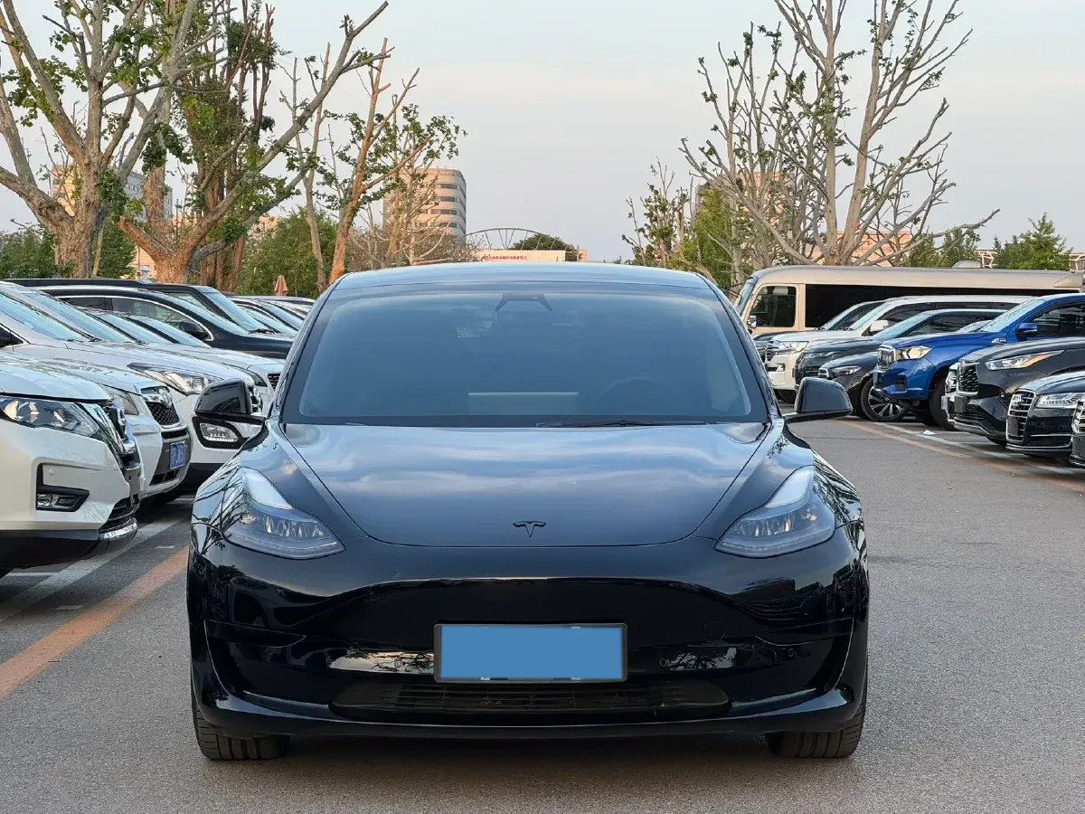 2021 Tesla Model 3 BEV 55KWH,autocango,china used car exporter,china ev exporter,chinese used car exporter,chinese used ev exporter