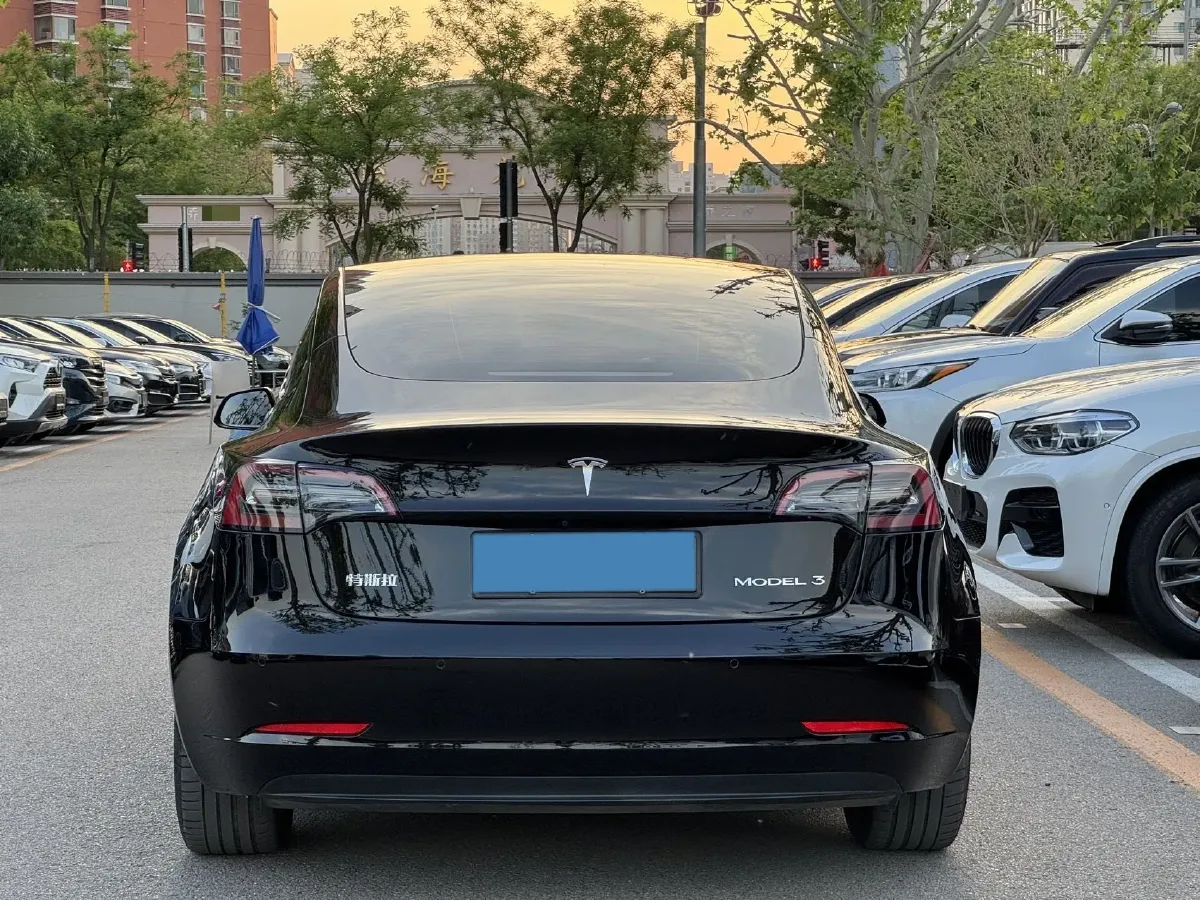 2021 Tesla Model 3 BEV 55KWH,autocango,china used car exporter,china ev exporter,chinese used car exporter,chinese used ev exporter
