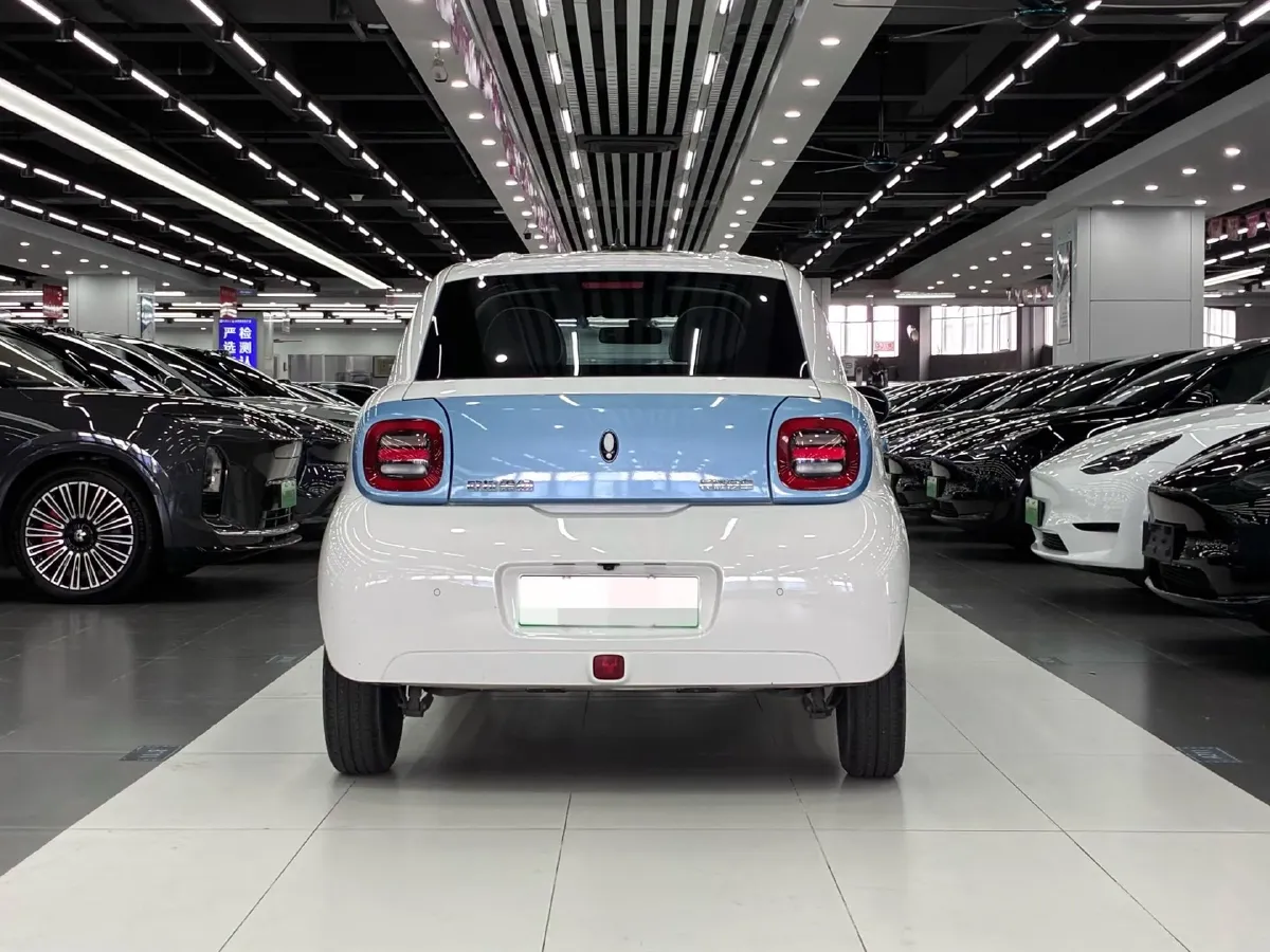 2021 Ora BlackCat BEV 33KWH,autocango,china used car exporter,china ev exporter,chinese used car exporter,chinese used ev exporter