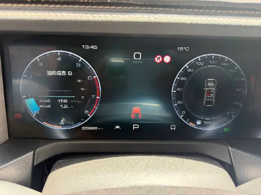 2021 Tank 300 2.0T 227HP L4 8AT,autocango,china used car exporter,china ev exporter,chinese used car exporter,chinese used ev exporter