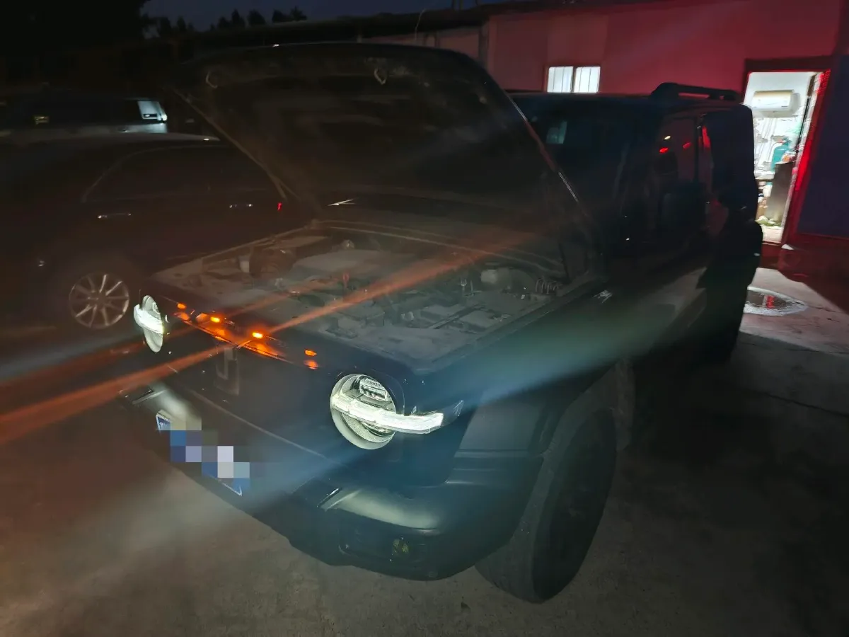 2021 Tank 300 2.0T 227HP L4 8AT,autocango,china used car exporter,china ev exporter,chinese used car exporter,chinese used ev exporter