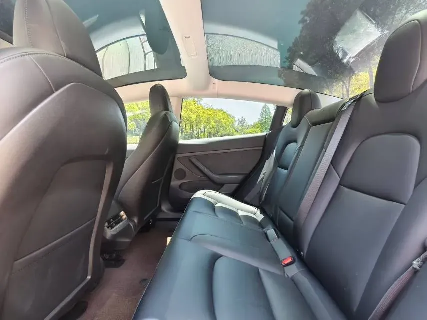 2022 Tesla Model 3 BEV 60KWH,autocango,china used car exporter,china ev exporter,chinese used car exporter,chinese used ev exporter