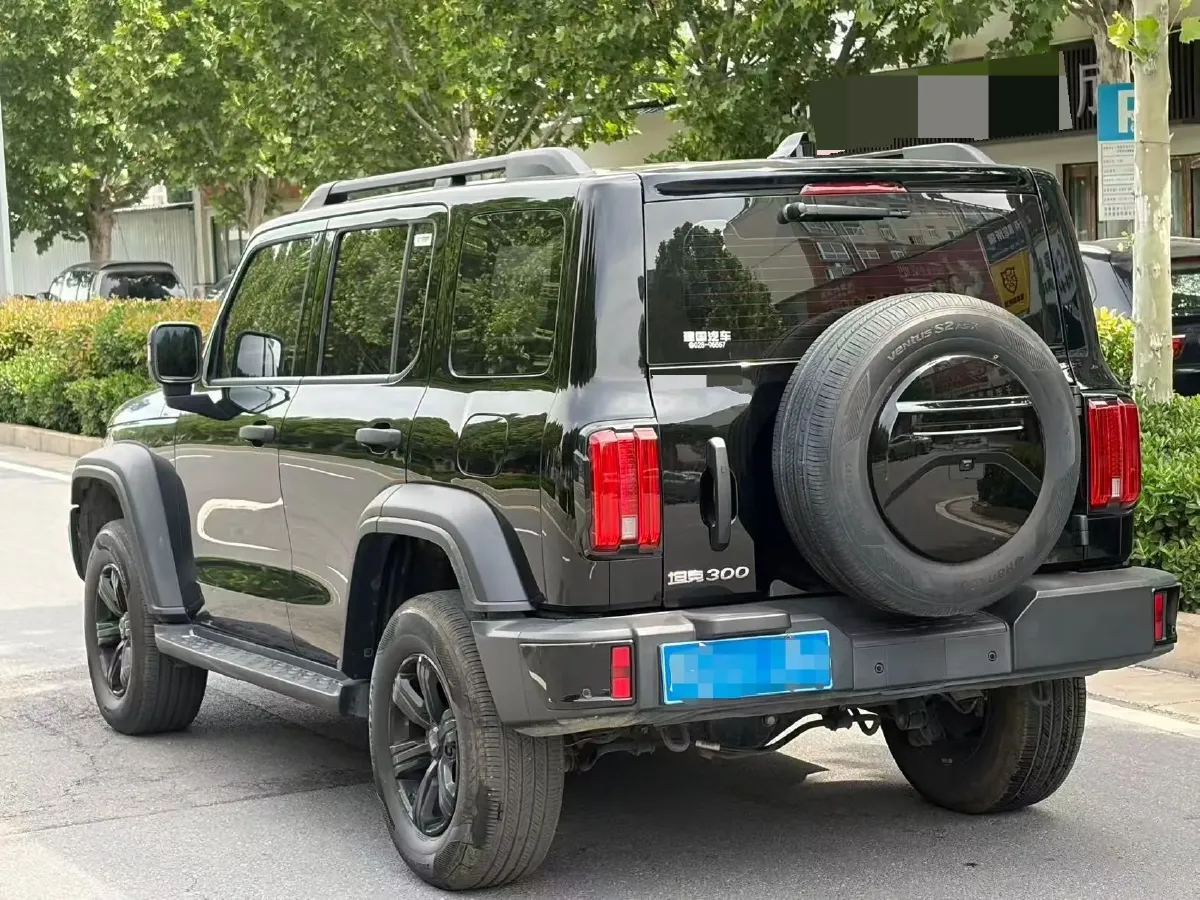 2024 Tank 300 2.0T 227HP L4 8AT,autocango,china used car exporter,china ev exporter,chinese used car exporter,chinese used ev exporter