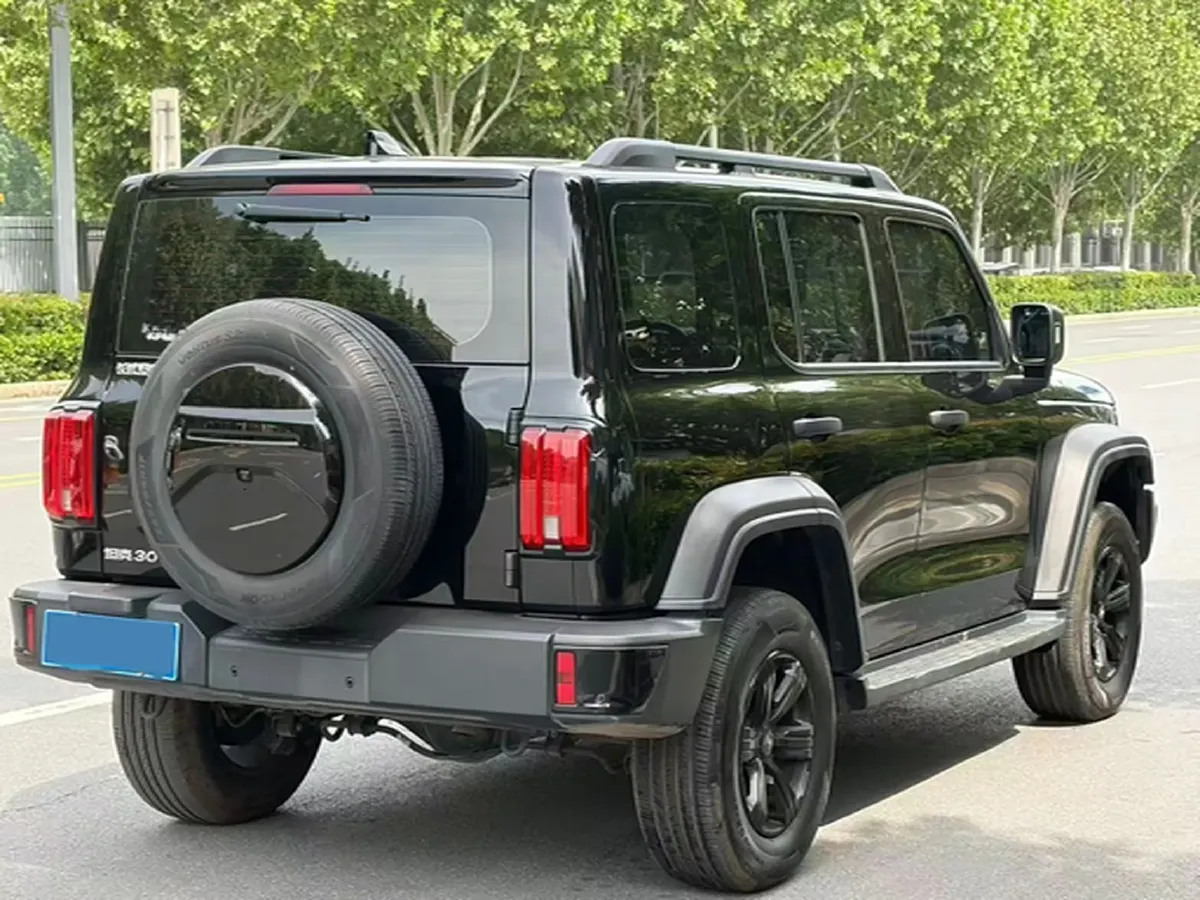 2024 Tank 300 2.0T 227HP L4 8AT,autocango,china used car exporter,china ev exporter,chinese used car exporter,chinese used ev exporter