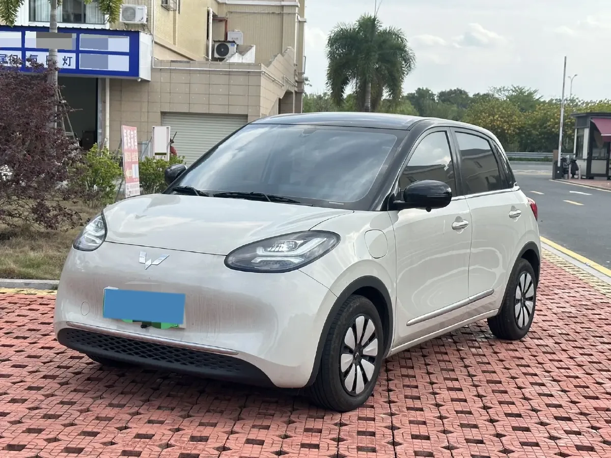 2024 WuLing BinGuo BEV 31.9KWH,autocango,china used car exporter,china ev exporter,chinese used car exporter,chinese used ev exporter