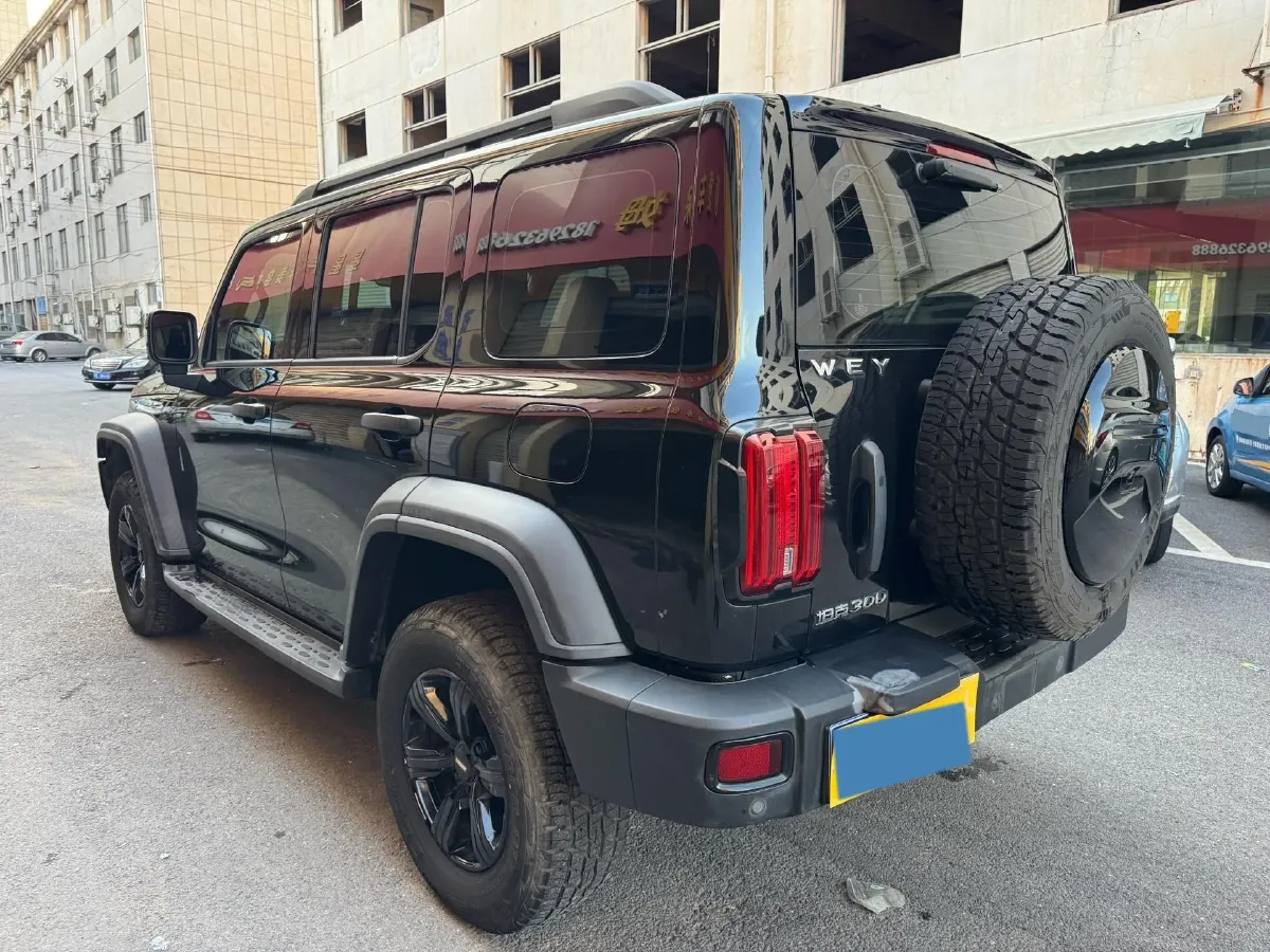 2021 Tank 300 2.0T 227HP L4 8AT,autocango,china used car exporter,china ev exporter,chinese used car exporter,chinese used ev exporter