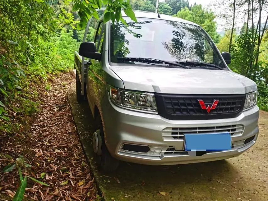 2023 WuLing RongGuang New Truck 2.0L 136HP L4 5MT,autocango,china used car exporter,china ev exporter,chinese used car exporter,chinese used ev exporter