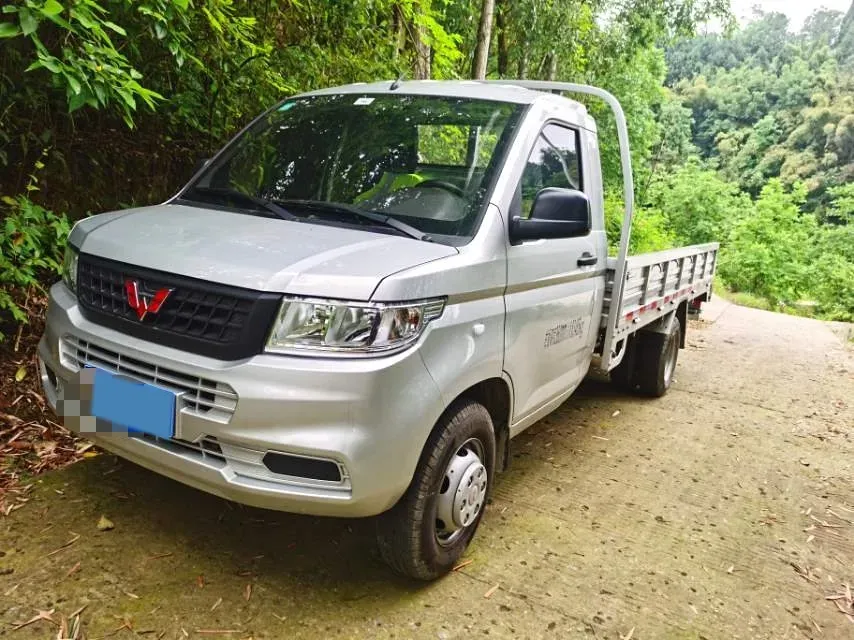 2023 WuLing RongGuang New Truck 2.0L 136HP L4 5MT,autocango,china used car exporter,china ev exporter,chinese used car exporter,chinese used ev exporter