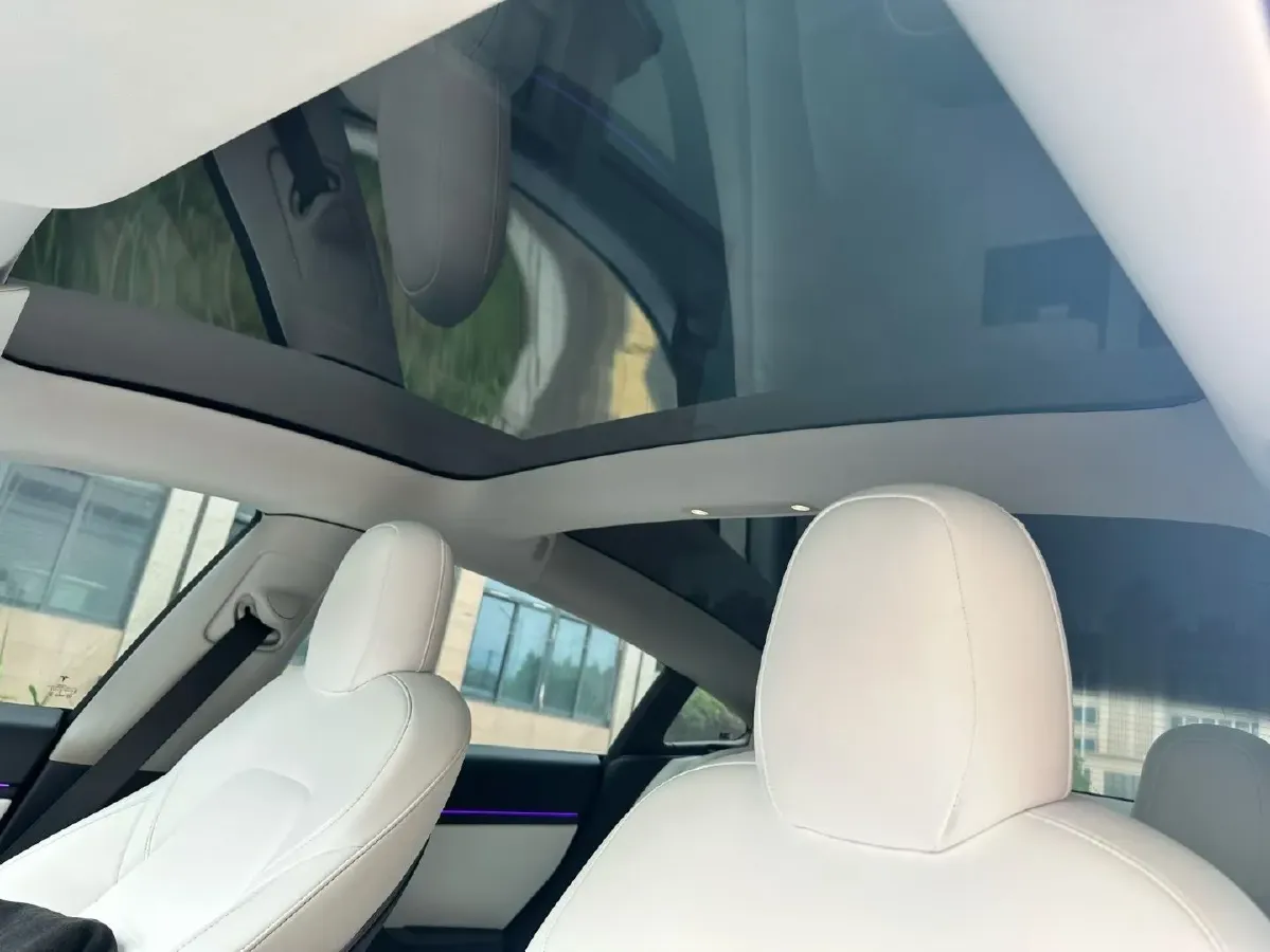 2020 Tesla Model 3 BEV 76.8KWH,autocango,china used car exporter,china ev exporter,chinese used car exporter,chinese used ev exporter