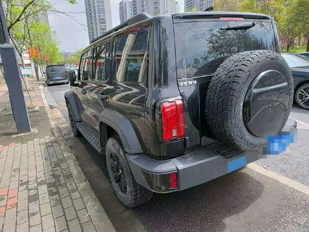 2024 Tank 300 2.0T 227HP L4 8AT,autocango,china used car exporter,china ev exporter,chinese used car exporter,chinese used ev exporter