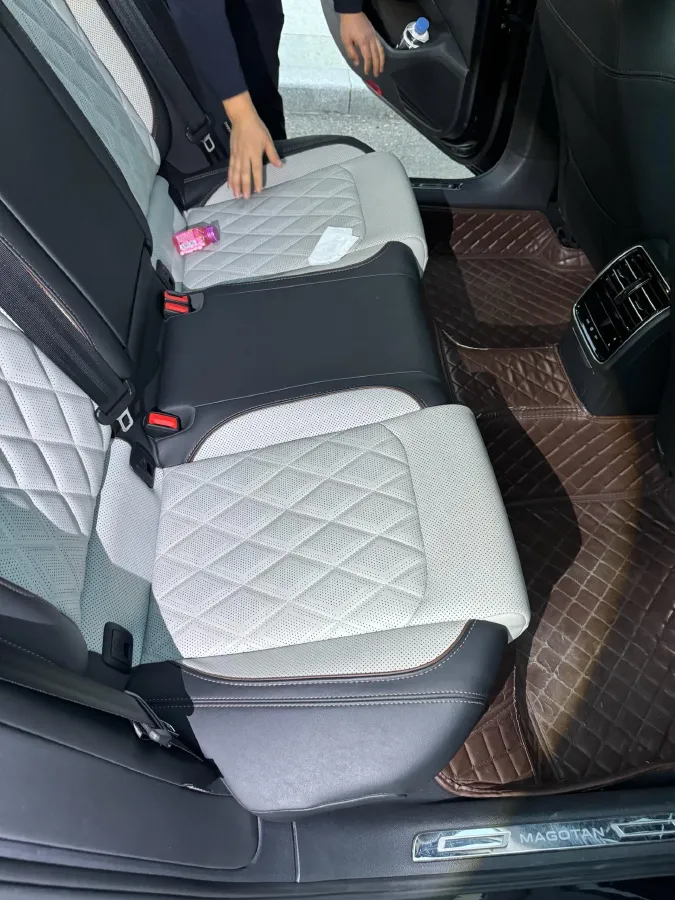 2023 Volkswagen Magotan 2.0T 186HP L4 7DCT,autocango,china used car exporter,china ev exporter,chinese used car exporter,chinese used ev exporter