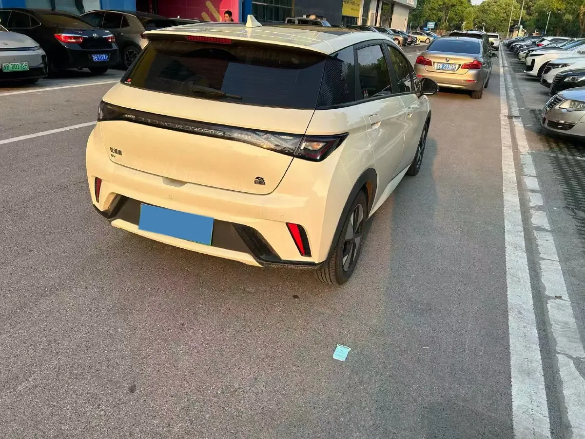 2023 BYD Dolphin BEV 44.928KWH,autocango,china used car exporter,china ev exporter,chinese used car exporter,chinese used ev exporter