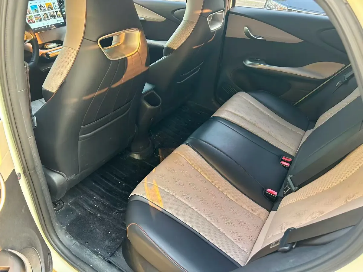 2023 BYD Dolphin BEV 44.928KWH,autocango,china used car exporter,china ev exporter,chinese used car exporter,chinese used ev exporter