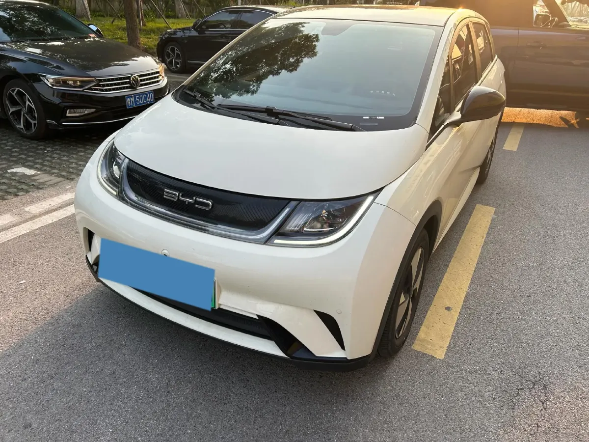 2023 BYD Dolphin BEV 44.928KWH,autocango,china used car exporter,china ev exporter,chinese used car exporter,chinese used ev exporter