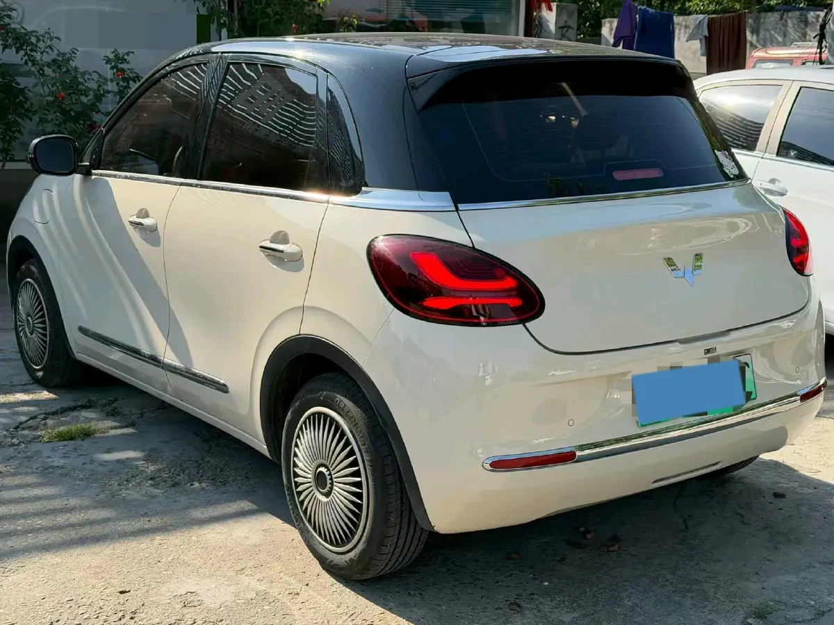 2025 WuLing BinGuo BEV,autocango,china used car exporter,china ev exporter,chinese used car exporter,chinese used ev exporter
