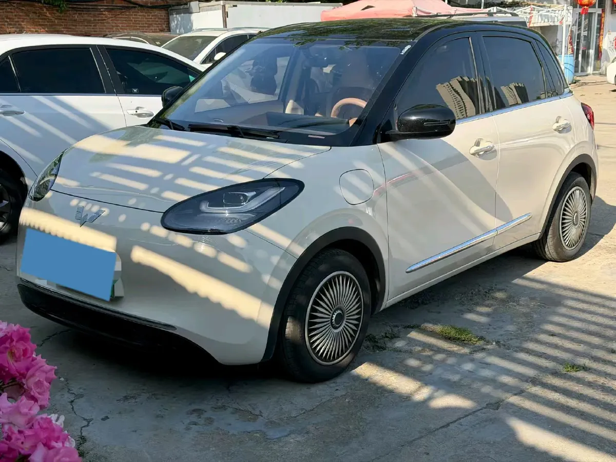 2025 WuLing BinGuo BEV,autocango,china used car exporter,china ev exporter,chinese used car exporter,chinese used ev exporter
