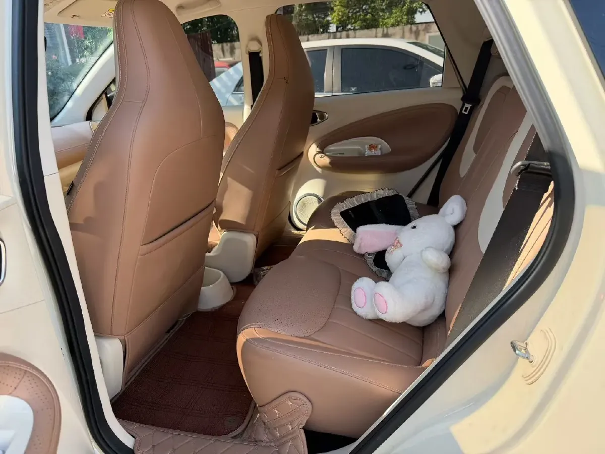 2025 WuLing BinGuo BEV,autocango,china used car exporter,china ev exporter,chinese used car exporter,chinese used ev exporter