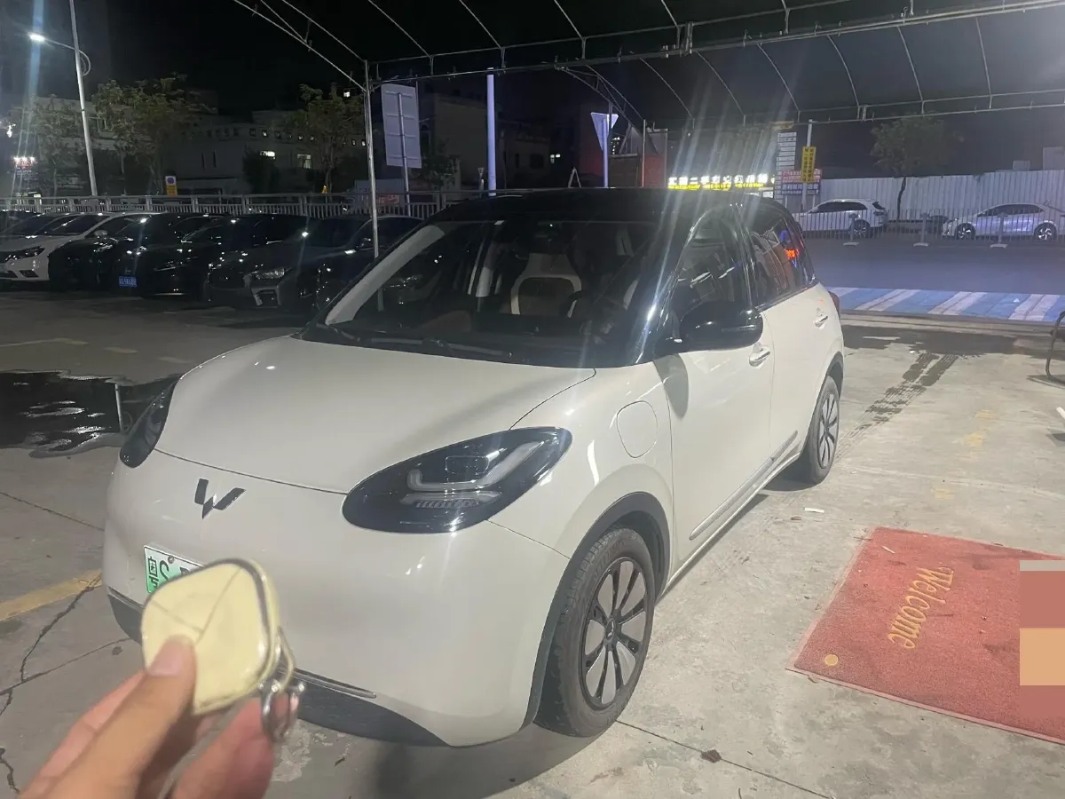 2023 WuLing BinGuo BEV 31.9KWH,autocango,china used car exporter,china ev exporter,chinese used car exporter,chinese used ev exporter