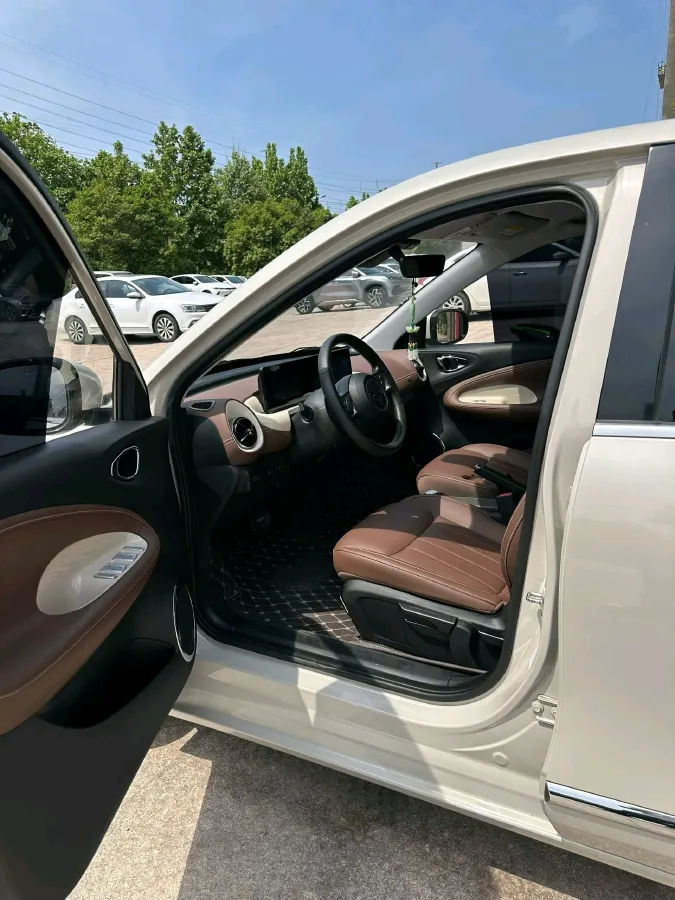 2023 WuLing BinGuo BEV 17.3KWH,autocango,china used car exporter,china ev exporter,chinese used car exporter,chinese used ev exporter