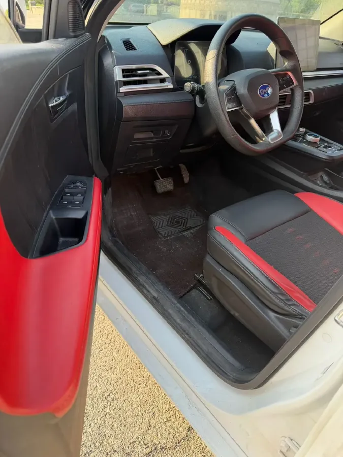 2019 BYD e2 BEV 47.3KWH,autocango,china used car exporter,china ev exporter,chinese used car exporter,chinese used ev exporter