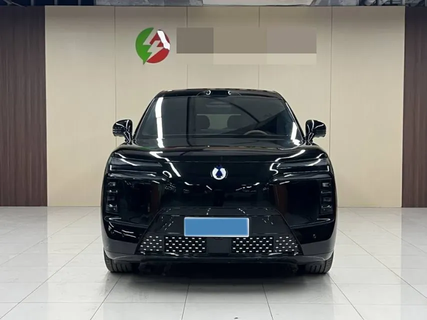 2025 Denza DenzaN8L 2.0T 207HP L4 E-CVT PHEV,autocango,china used car exporter,china ev exporter,chinese used car exporter,chinese used ev exporter