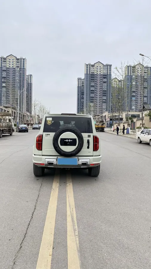 2025 FangChengBao Bao 5 1.5T 194HP L4 E-CVT PHEV 31.8KWH,autocango,china used car exporter,china ev exporter,chinese used car exporter,chinese used ev exporter