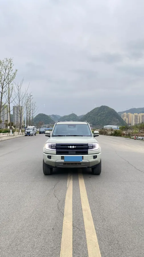2025 FangChengBao Bao 5 1.5T 194HP L4 E-CVT PHEV 31.8KWH,autocango,china used car exporter,china ev exporter,chinese used car exporter,chinese used ev exporter