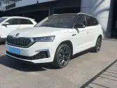 2023 SKODA KAMIQ,autocango,china used car exporter,china ev exporter,chinese used car exporter,chinese used ev exporter