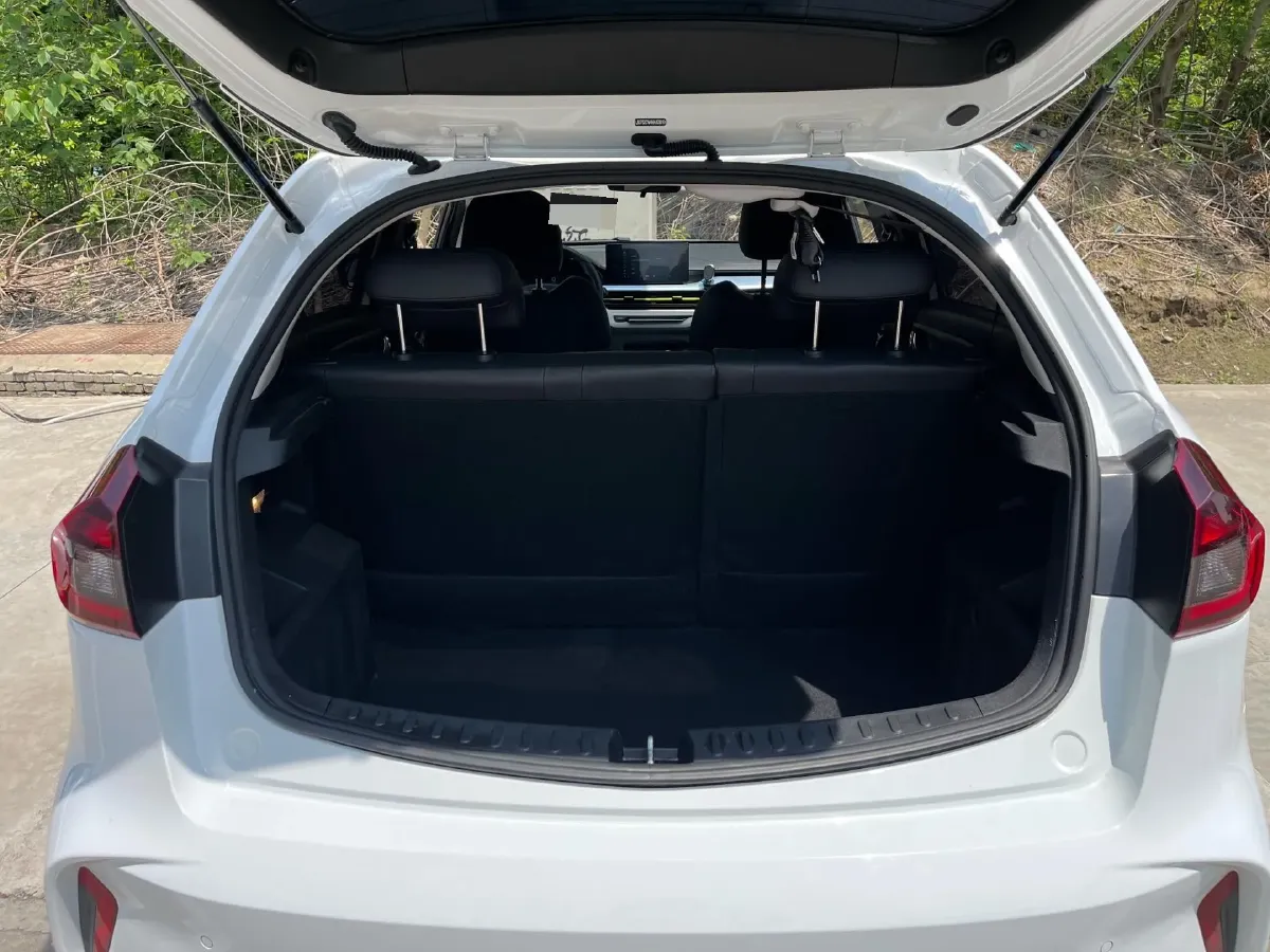 2021 Geometry EX3 BEV 37.23KWH,autocango,china used car exporter,china ev exporter,chinese used car exporter,chinese used ev exporter