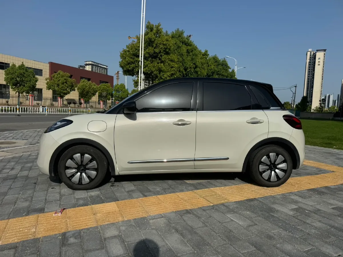 2023 WuLing BinGuo BEV 31.9KWH,autocango,china used car exporter,china ev exporter,chinese used car exporter,chinese used ev exporter