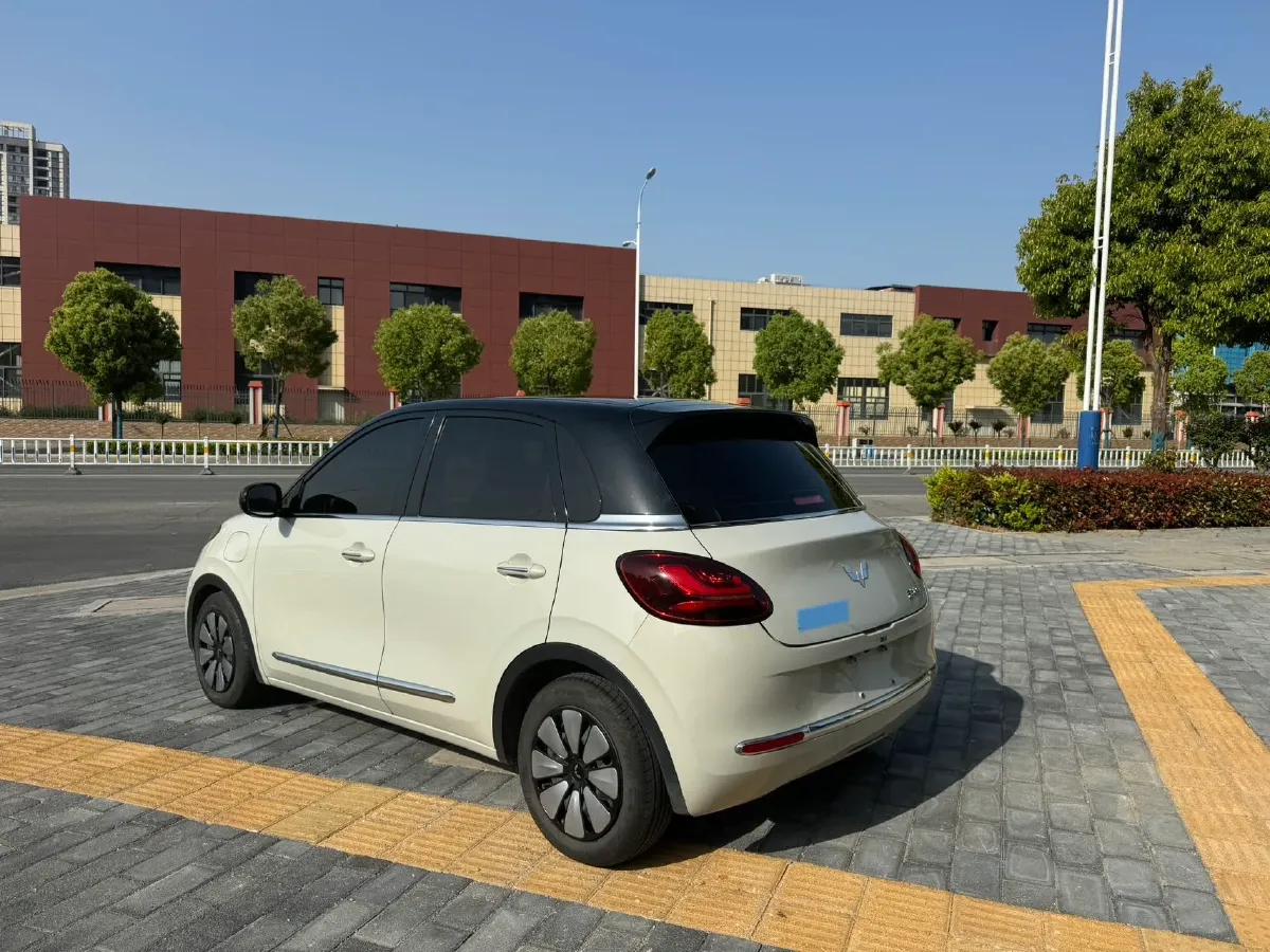 2023 WuLing BinGuo BEV 31.9KWH,autocango,china used car exporter,china ev exporter,chinese used car exporter,chinese used ev exporter