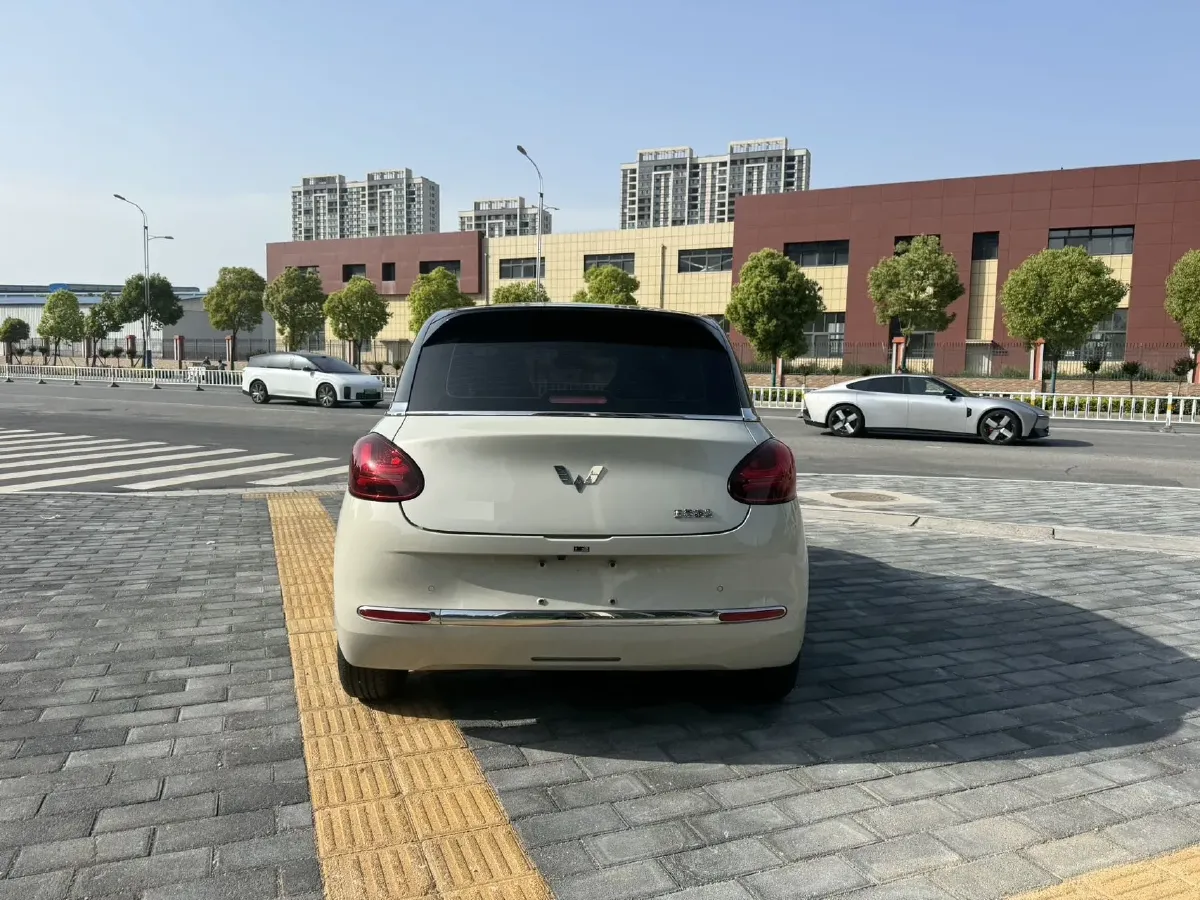 2023 WuLing BinGuo BEV 31.9KWH,autocango,china used car exporter,china ev exporter,chinese used car exporter,chinese used ev exporter