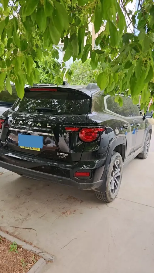 2023 Haval Dargo PLUS 2.0T 238HP L4 9DCT,autocango,china used car exporter,china ev exporter,chinese used car exporter,chinese used ev exporter