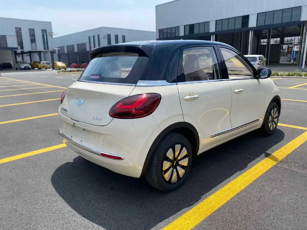 2025 WuLing BinGuo BEV,autocango,china used car exporter,china ev exporter,chinese used car exporter,chinese used ev exporter