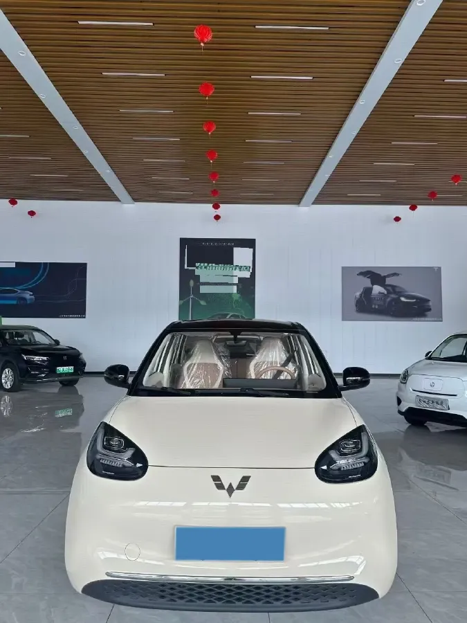 2025 WuLing BinGuo BEV,autocango,china used car exporter,china ev exporter,chinese used car exporter,chinese used ev exporter