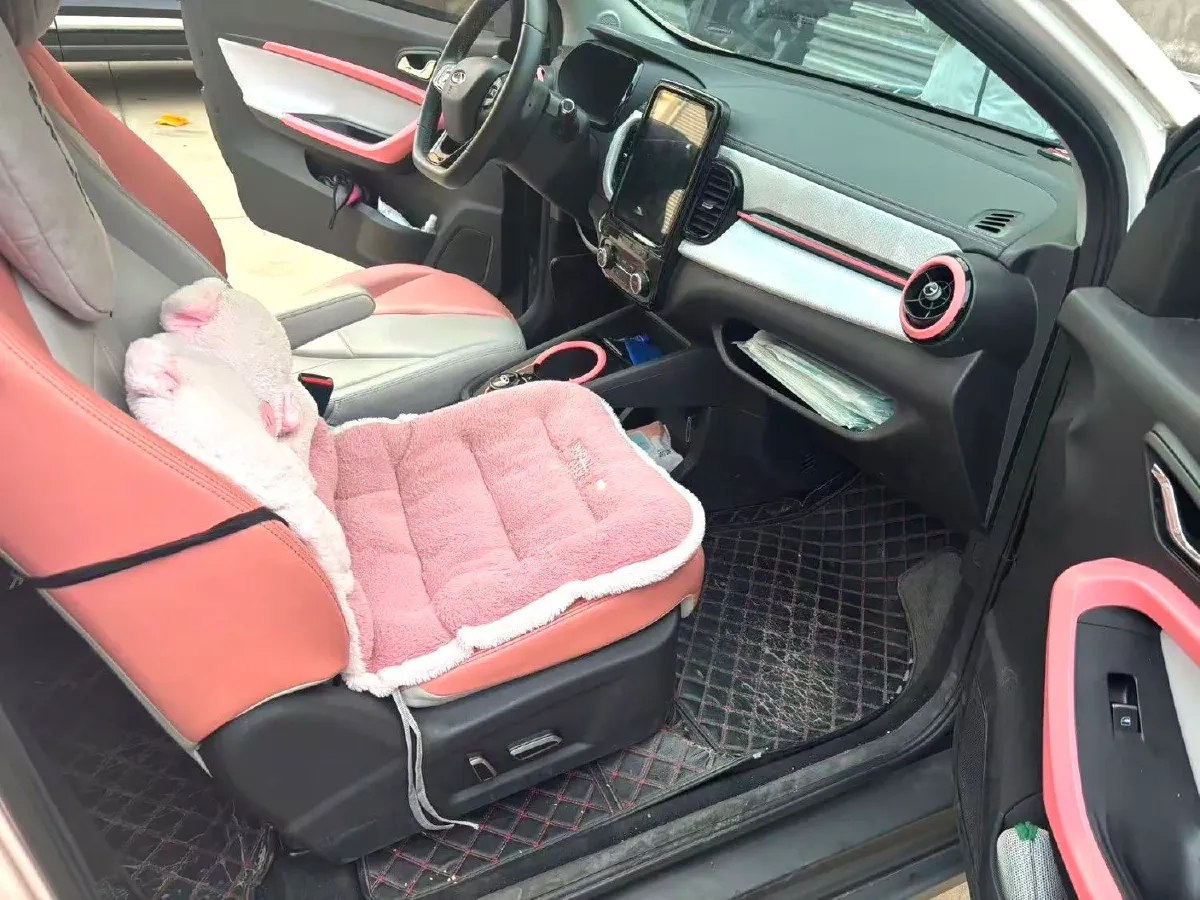 2022 Chery Little Ant BEV 30.7KWH,autocango,china used car exporter,china ev exporter,chinese used car exporter,chinese used ev exporter