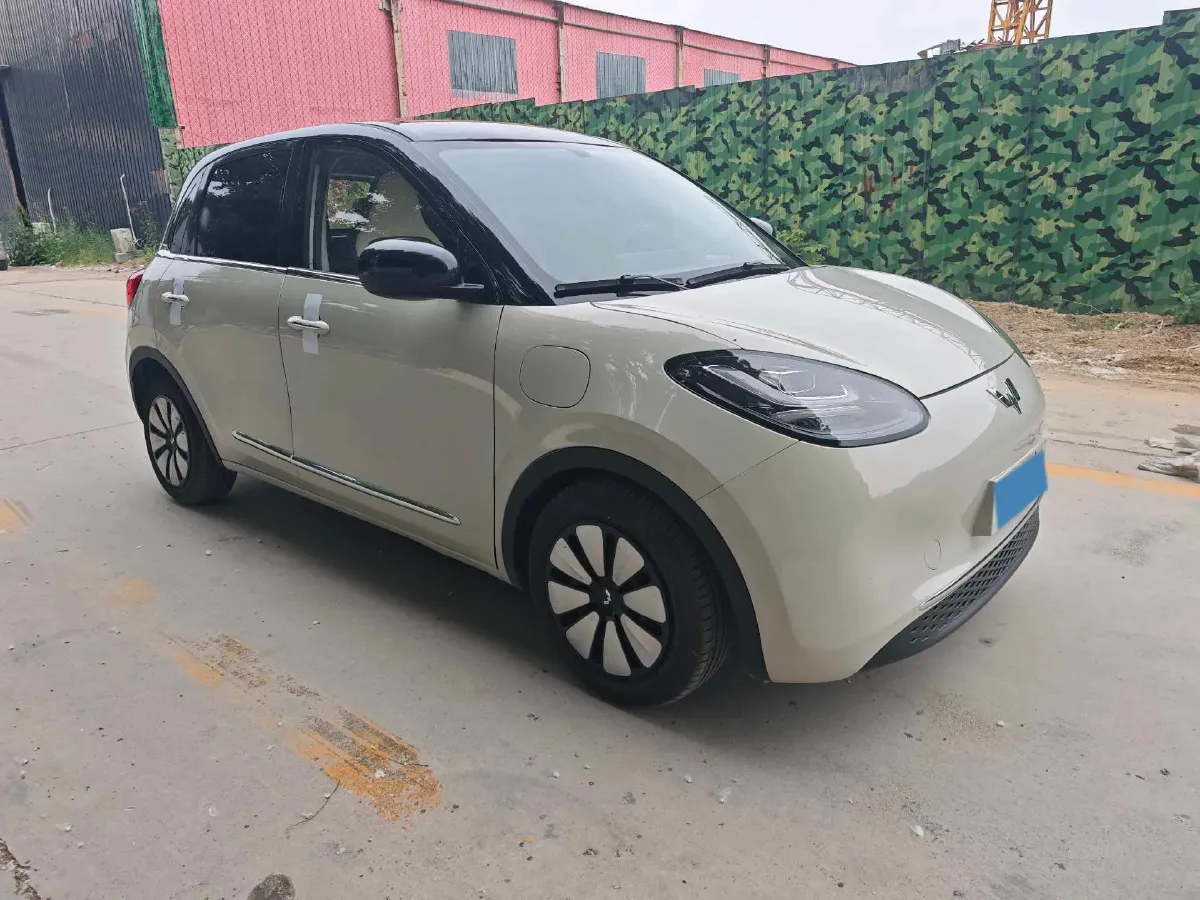 2024 WuLing BinGuo BEV 31.9KWH,autocango,china used car exporter,china ev exporter,chinese used car exporter,chinese used ev exporter