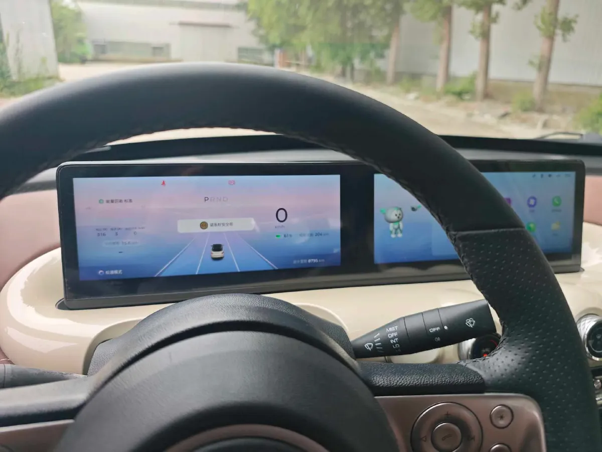 2024 WuLing BinGuo BEV 31.9KWH,autocango,china used car exporter,china ev exporter,chinese used car exporter,chinese used ev exporter