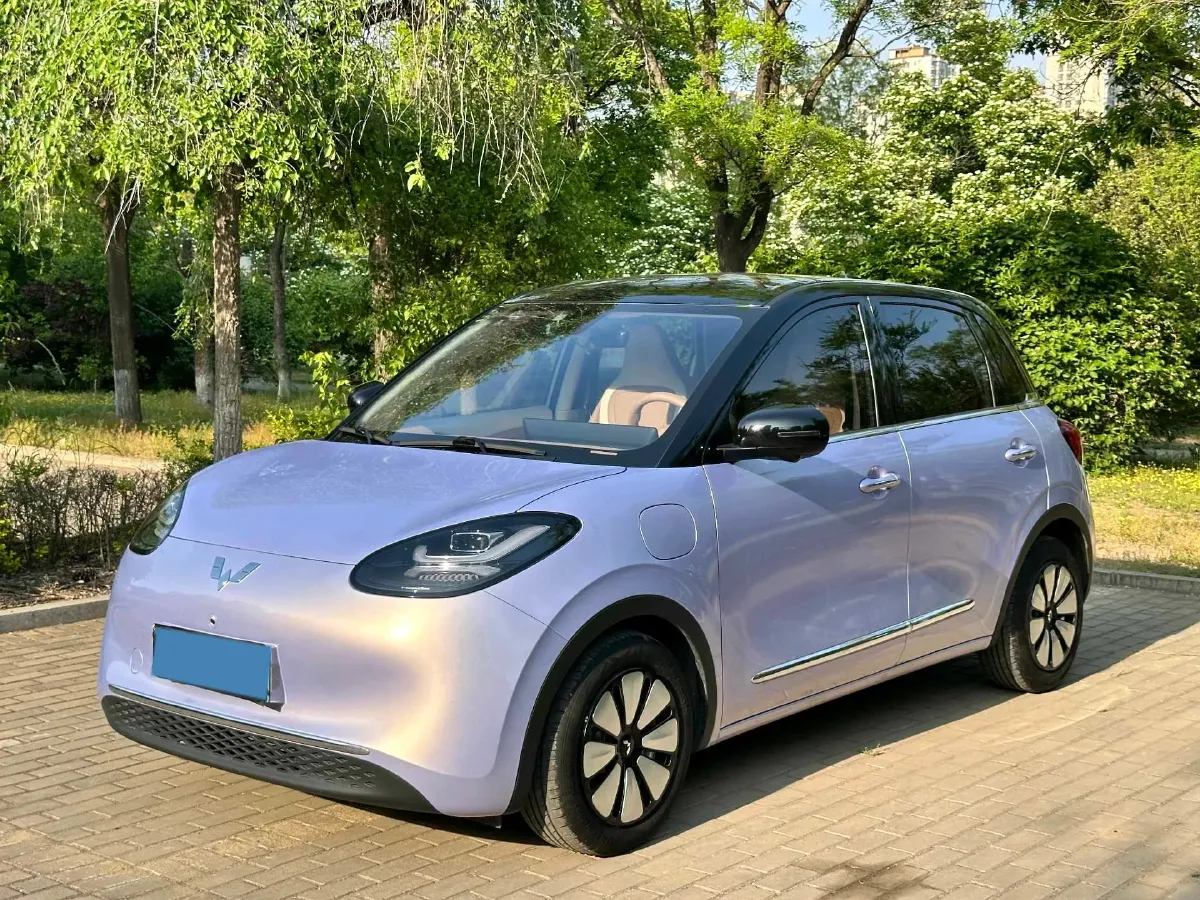 2025 WuLing BinGuo BEV,autocango,china used car exporter,china ev exporter,chinese used car exporter,chinese used ev exporter