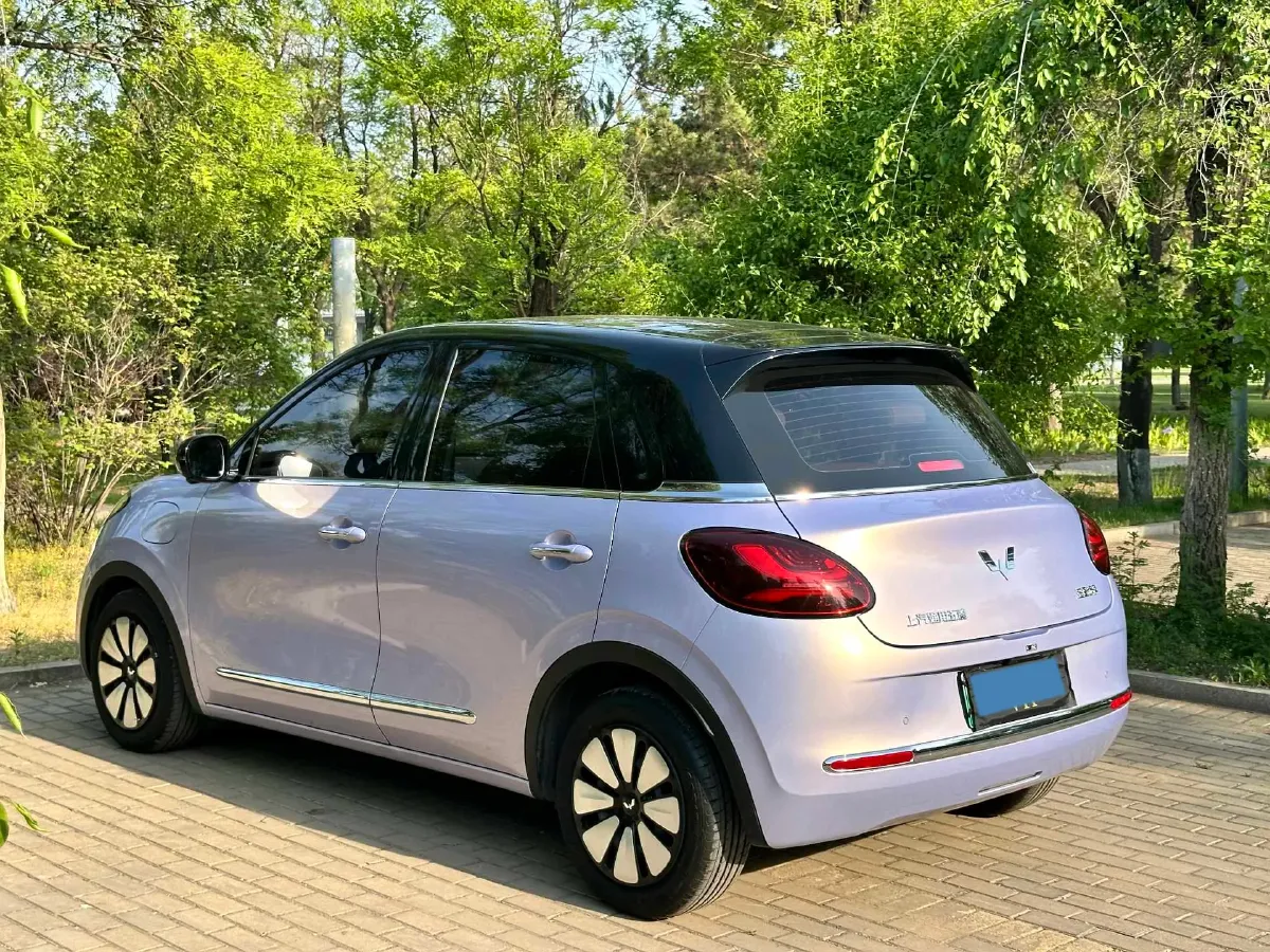2025 WuLing BinGuo BEV,autocango,china used car exporter,china ev exporter,chinese used car exporter,chinese used ev exporter