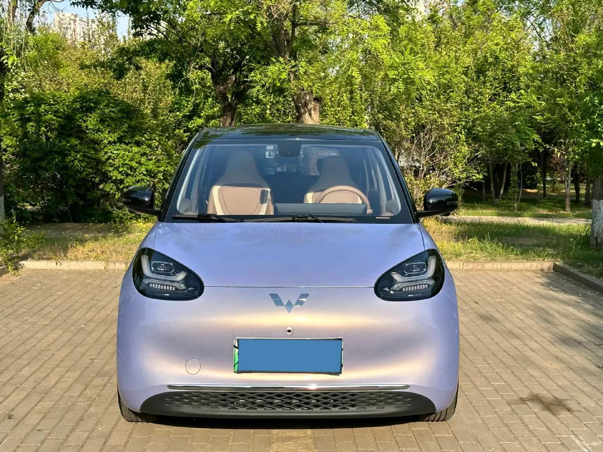 2025 WuLing BinGuo BEV,autocango,china used car exporter,china ev exporter,chinese used car exporter,chinese used ev exporter