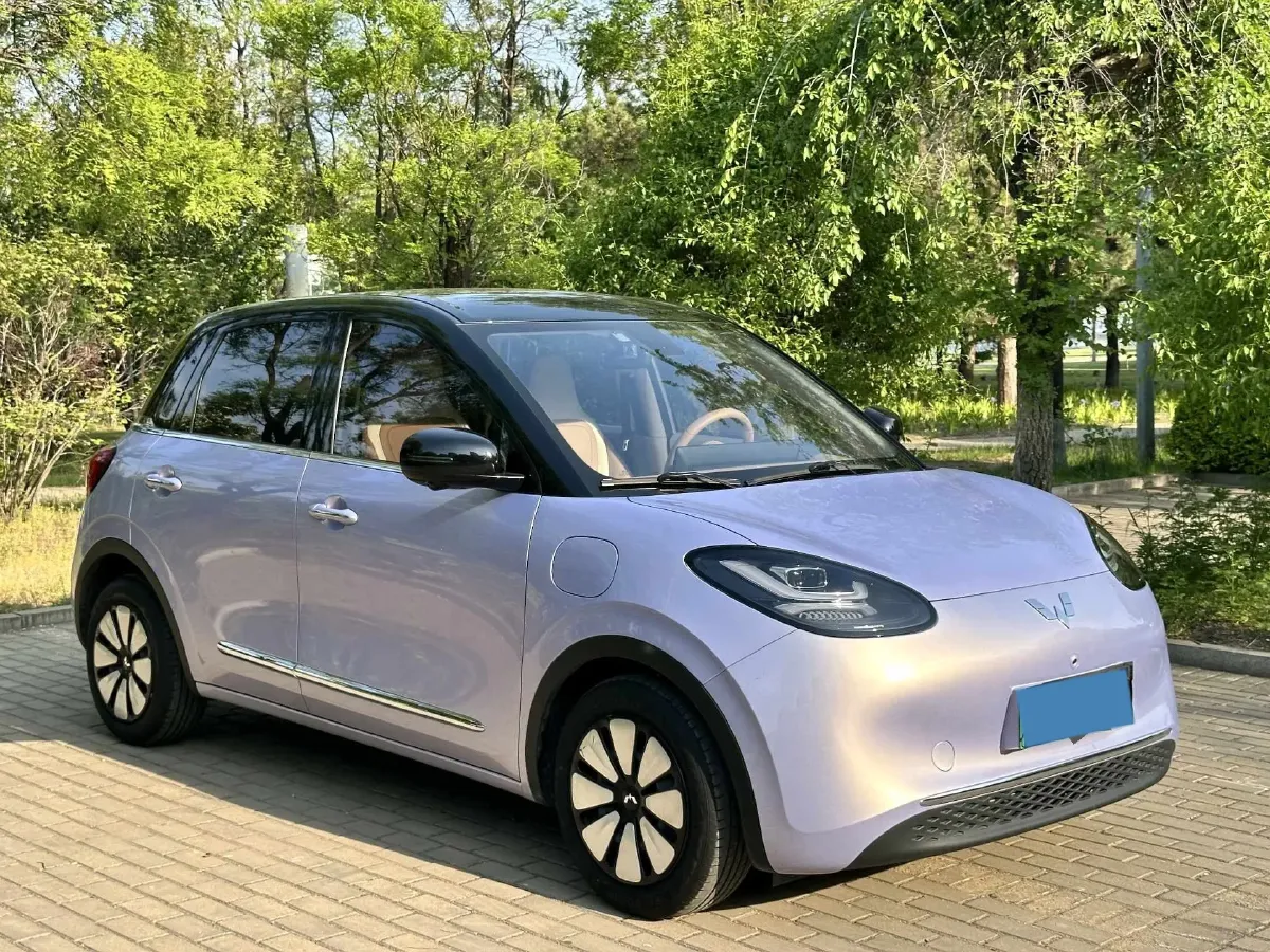 2025 WuLing BinGuo BEV,autocango,china used car exporter,china ev exporter,chinese used car exporter,chinese used ev exporter