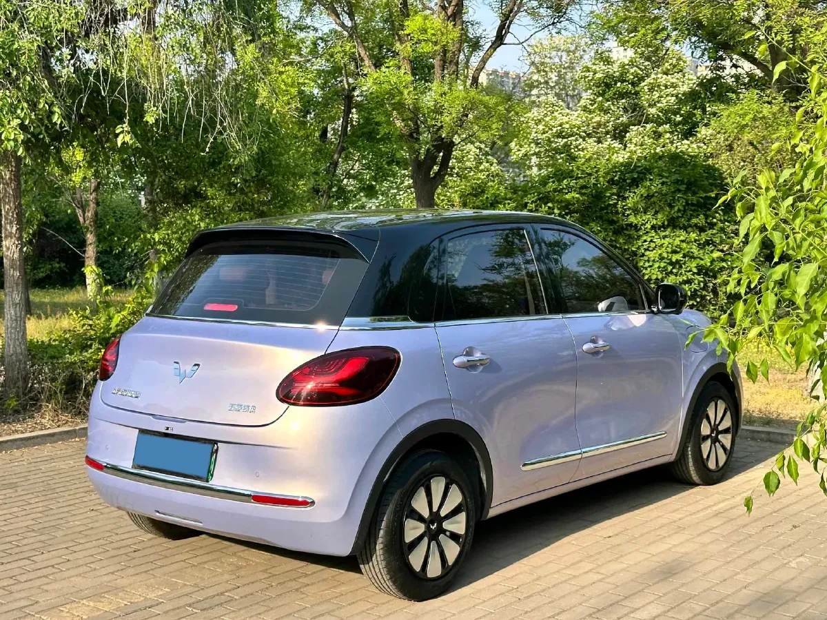 2025 WuLing BinGuo BEV,autocango,china used car exporter,china ev exporter,chinese used car exporter,chinese used ev exporter
