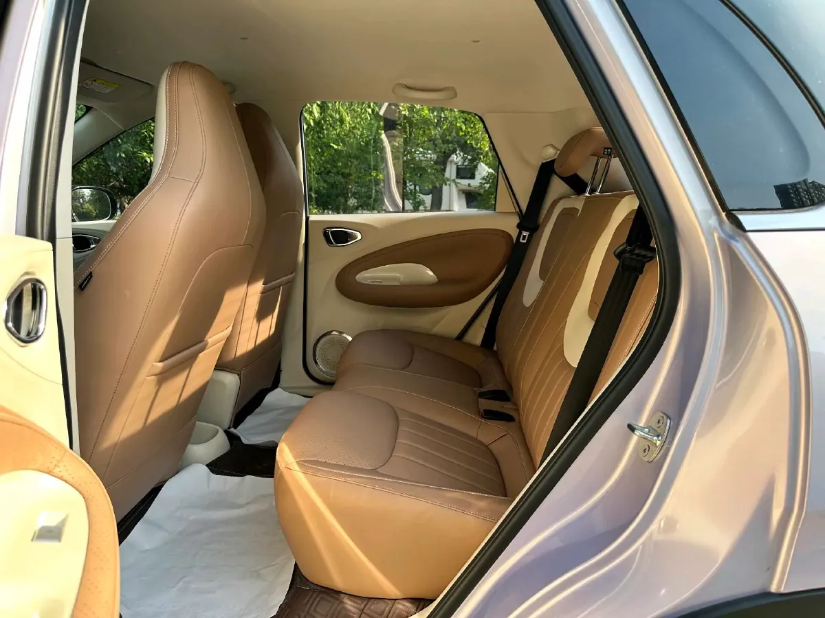 2025 WuLing BinGuo BEV,autocango,china used car exporter,china ev exporter,chinese used car exporter,chinese used ev exporter