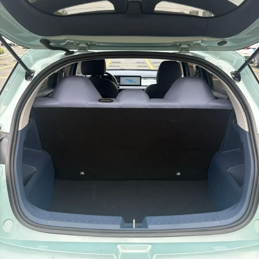 2023 Geometry E BEV 33.5KWH,autocango,china used car exporter,china ev exporter,chinese used car exporter,chinese used ev exporter