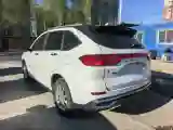 2022 Chery Little Ant BEV 40.6KWH