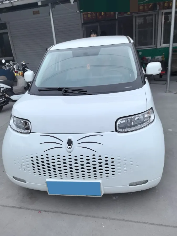 2020 Ora WhiteCat BEV 29.4KWH,autocango,china used car exporter,china ev exporter,chinese used car exporter,chinese used ev exporter