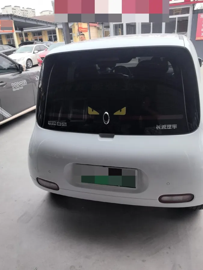 2020 Ora WhiteCat BEV 29.4KWH,autocango,china used car exporter,china ev exporter,chinese used car exporter,chinese used ev exporter